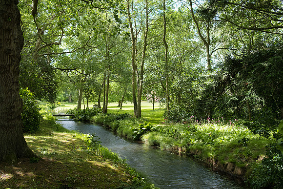 The Rizlas in Norfolk