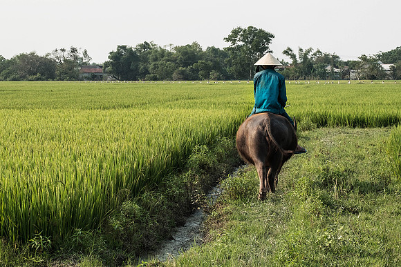 People from Vietnam and Thailand