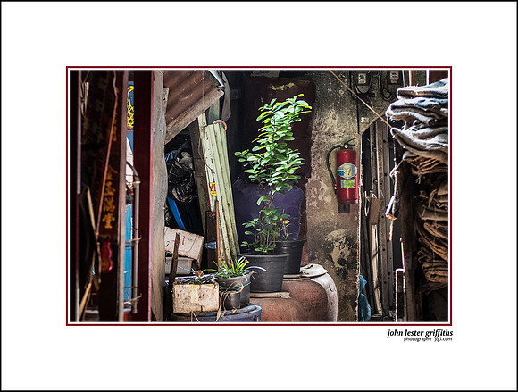 People from Vietnam and Thailand