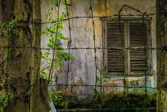 People from Vietnam and Thailand