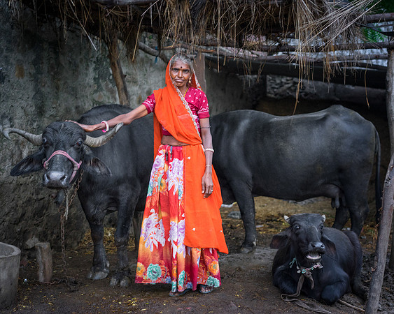 Rajasthan and Vietnam