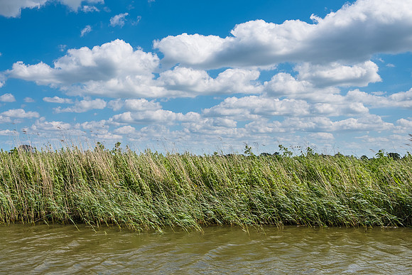 The Rizlas in Norfolk