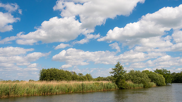 The Rizlas in Norfolk