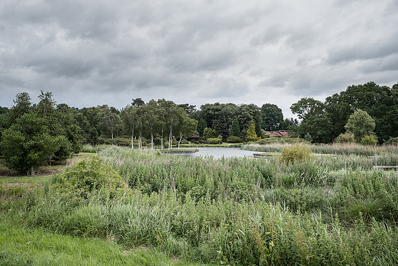 The Rizlas in Norfolk