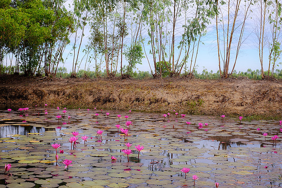 Thailand 2019