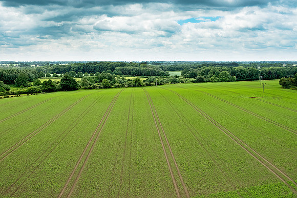 The Rizlas in Norfolk