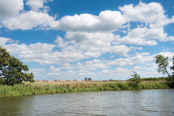 The Rizlas in Norfolk