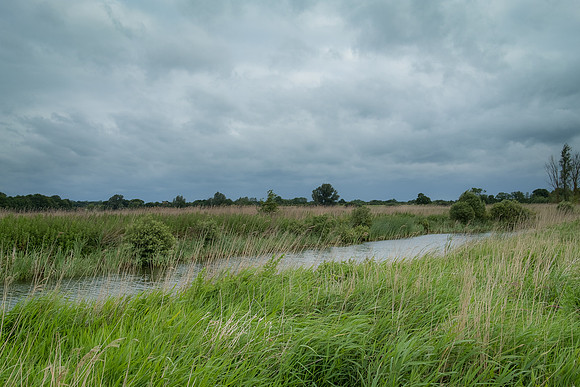 The Rizlas in Norfolk
