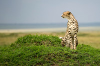 Kenya