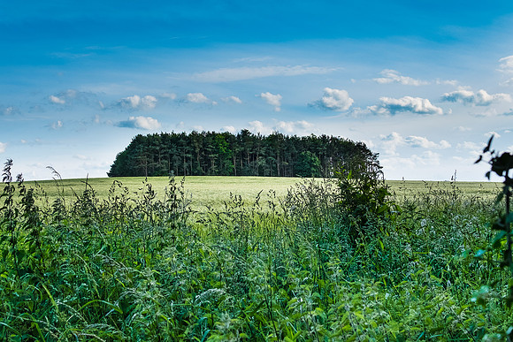 The Rizlas in Norfolk