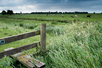 The Rizlas in Norfolk