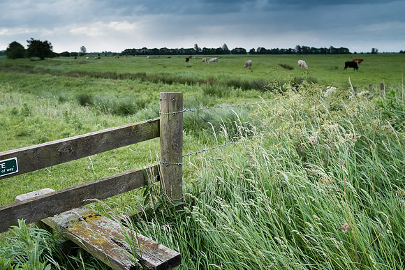 The Rizlas in Norfolk