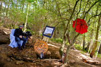 John Griffiths Weald Park
