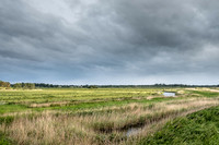 The Rizlas in Norfolk