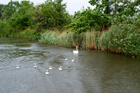 The Rizlas in Norfolk