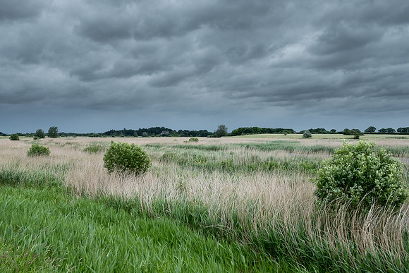 The Rizlas in Norfolk