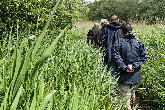 The Rizlas in Norfolk