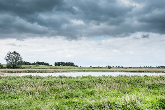 The Rizlas in Norfolk