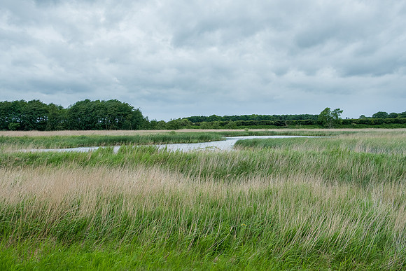 The Rizlas in Norfolk