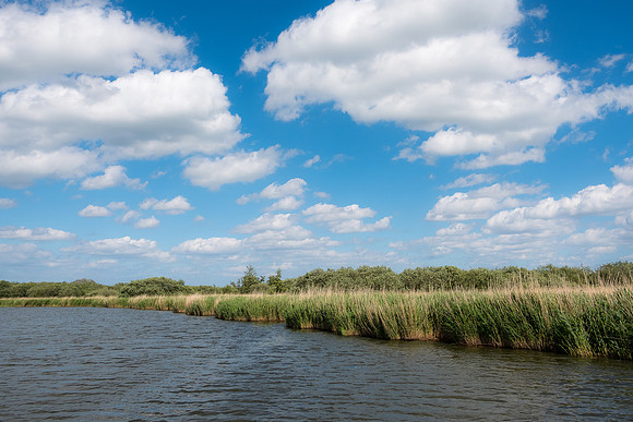 The Rizlas in Norfolk