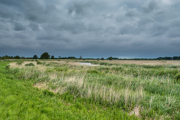 The Rizlas in Norfolk