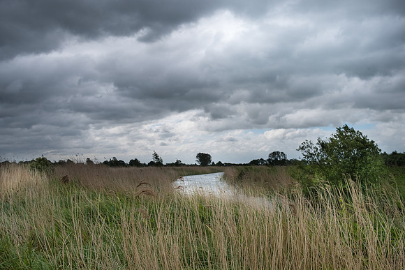 The Rizlas in Norfolk