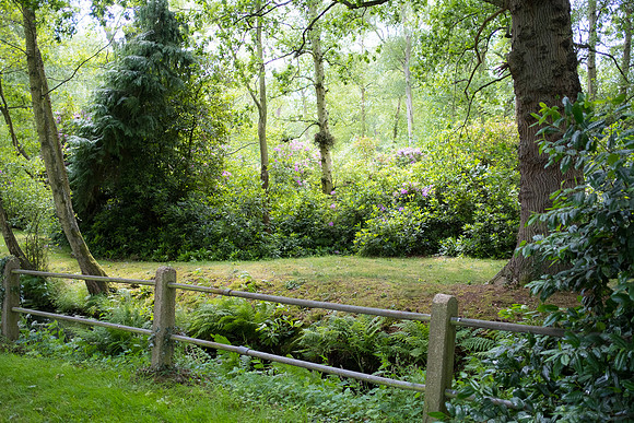 The Rizlas in Norfolk