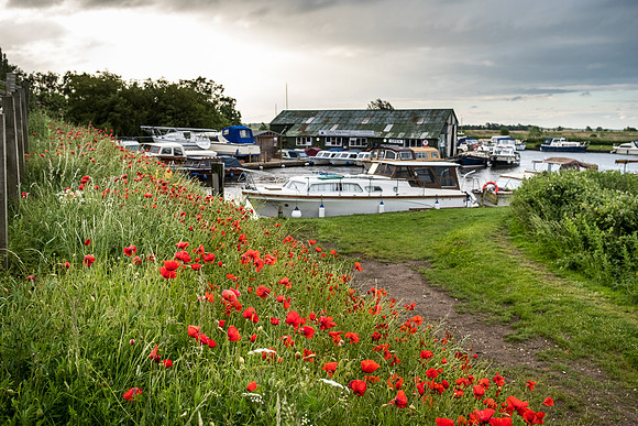 The Rizlas in Norfolk