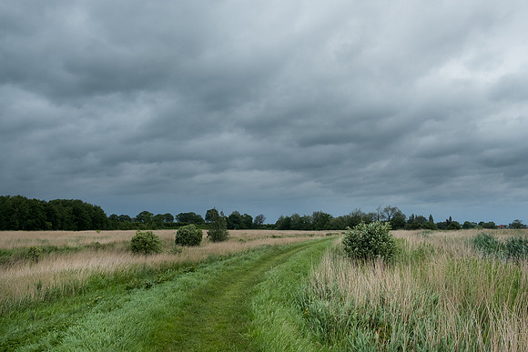 The Rizlas in Norfolk