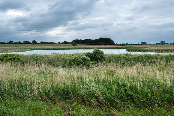 The Rizlas in Norfolk