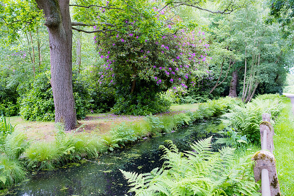 The Rizlas in Norfolk