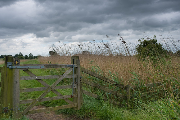 The Rizlas in Norfolk