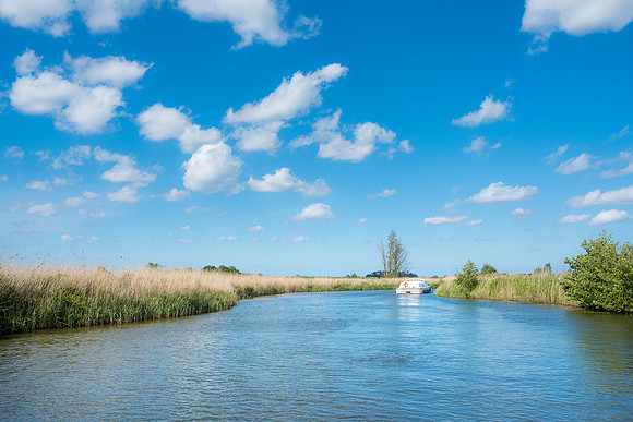 The Rizlas in Norfolk